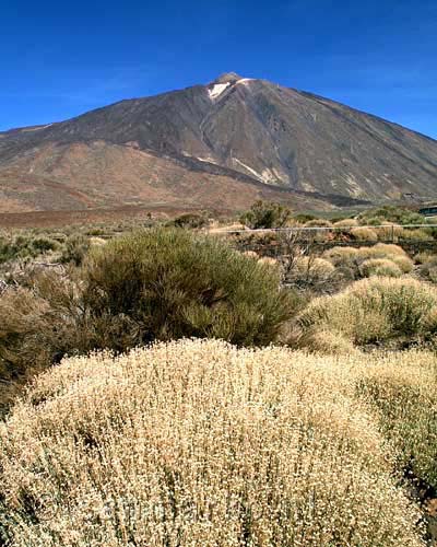 Een schitterend uitzicht op de vulkaan Teide op Tenerife