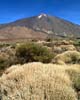 Een schitterend uitzicht op de vulkaan Teide op Tenerife