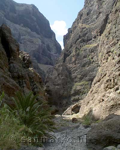 Vanaf het wandelpad het uitzicht op het dal van Masca op Tenerife