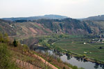Een mooi uitzicht op de kannonenweg en de wijnvelden langs de Moezel
