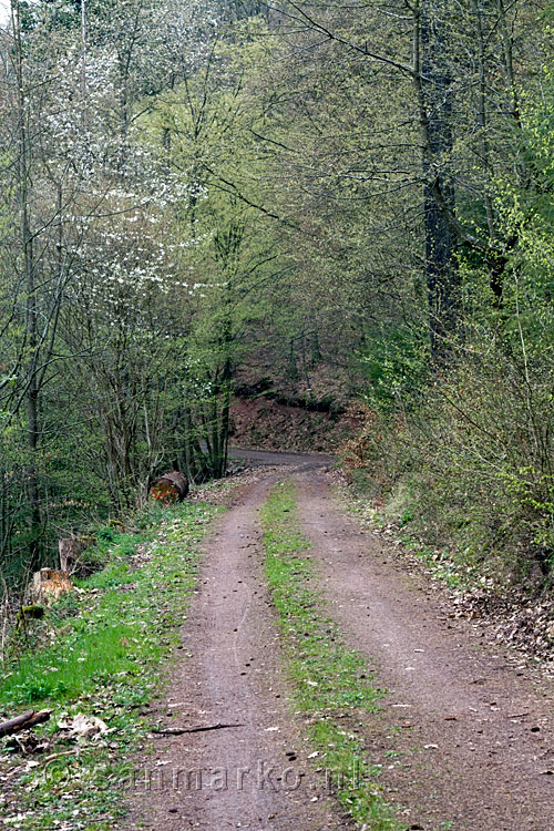 Het wandelpad tijdens de rondwandeling van Alf naar Reid