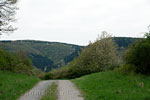 Het uitzicht vanaf het wandelpad bij Altenburg