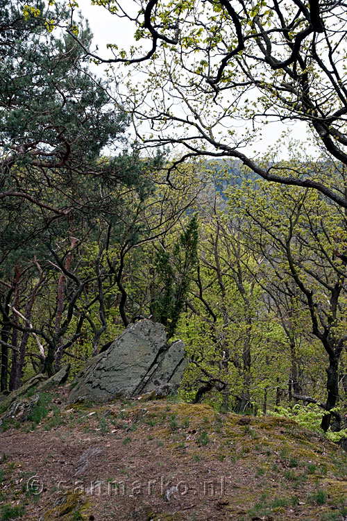 De piek van de Hornberg (388 m) bij Altenahr