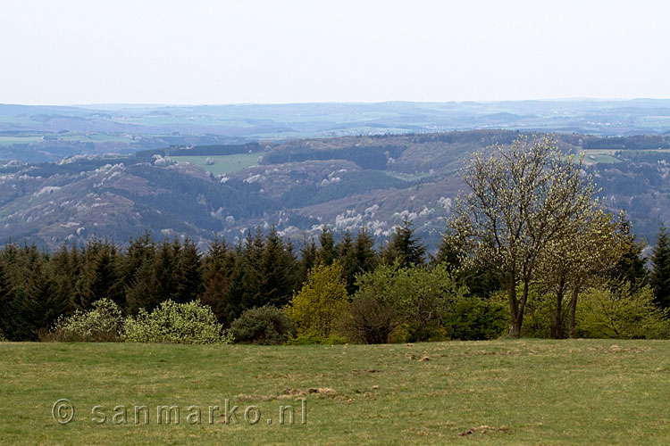 Het uitzicht bij de picknickplaats bij het Steinerberghaus