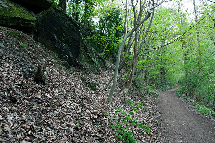 Het wandelpad langs de Ahr bij Altenahr in de Eifel