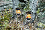 Grappige gezichten in de bomen langs het wandelpad terug naar Altenburg