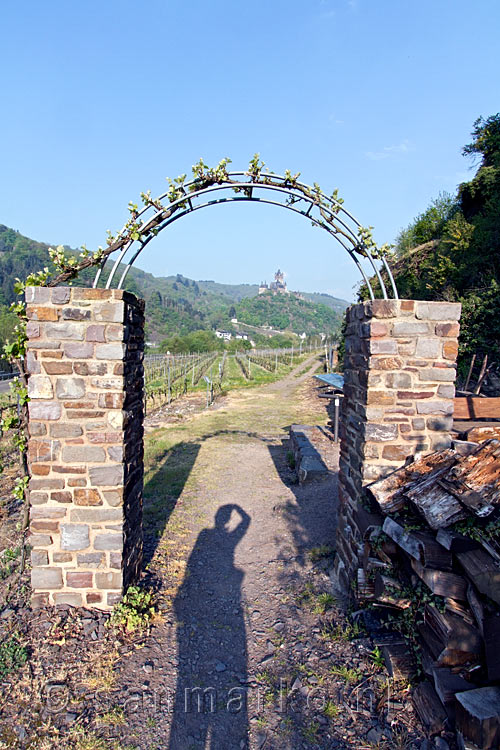 Een schitterend uitzicht vanaf het wandelpad over de wijnvelden bij Cochem