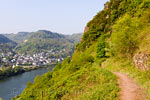 Het wandelpad met schitterende uitzichten over de Moezel bij Cochem