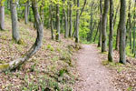 Wandelend langs Valwigenberg naar de Tester Kapelle bij Valwigenberg