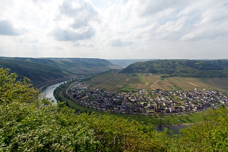 Uitzicht over Ernst aan de Moezel vanaf de Moselsteig bij Cochem