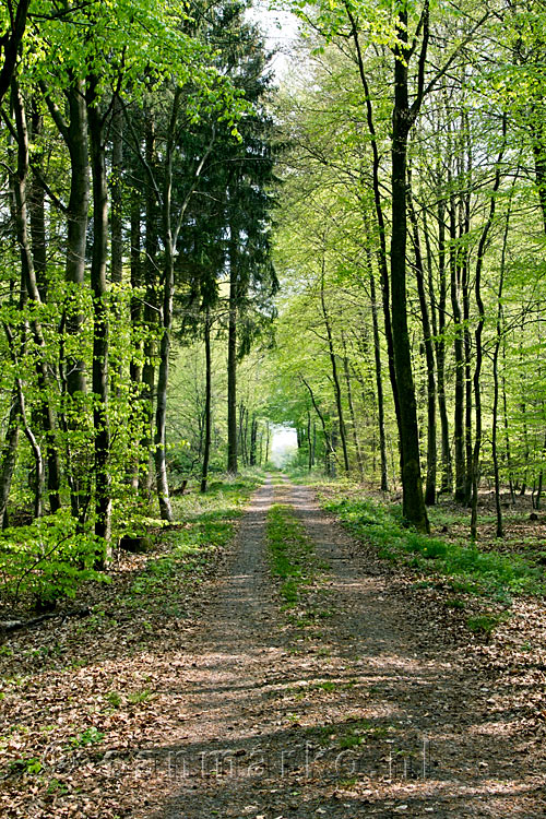 Het wandelpad tussen de Tester Kappelle en de 7 Schmerzen Maria kruisweg