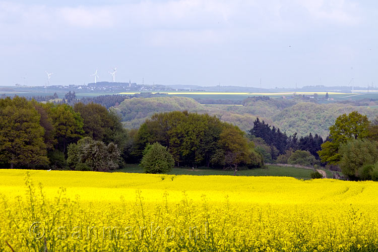 Vanaf het wandelpad een schitterend uitzicht over de natuur van de Moezel