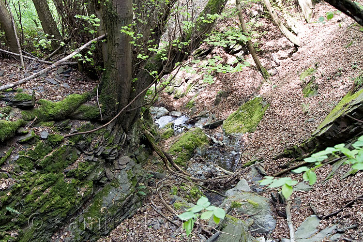 De steile afgrond met waterval langs het wandelpad bij Cochem