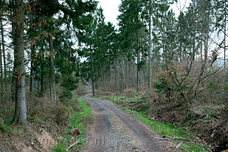 Het wandelpad langs het Traumpfad Bleidenberger Ausblicke