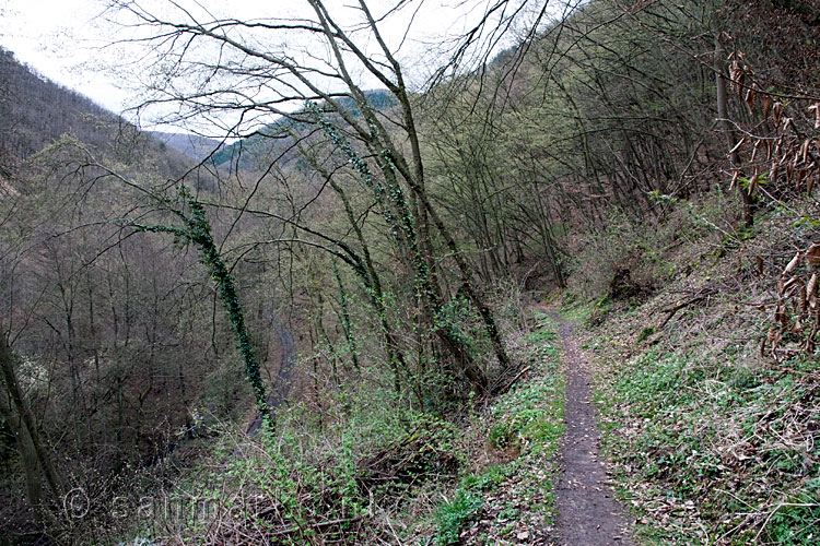 Een terugblik op het wandelpad omhoog naar Burg Thurant