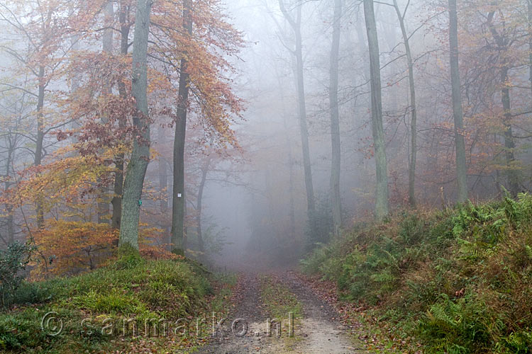 De mist in de bossen tijdens de wandeling bij Dernau in het Ahrtal