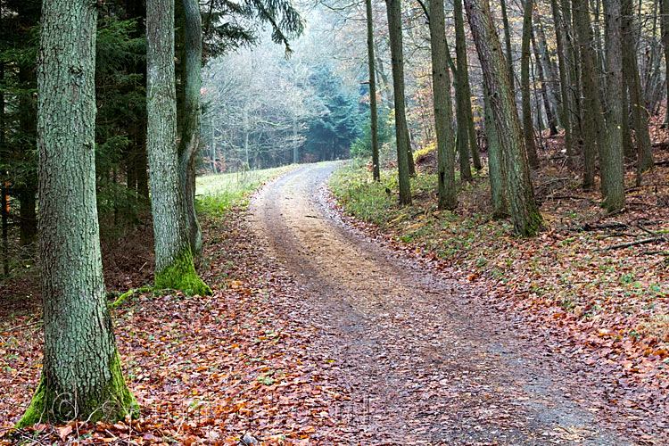 Het wandelpad richting de top van Häuschen (506m) bij Dernau