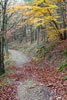 Wandelen in de herfst bij Dernau in het Ahrtal in de Eifel in Duitsland