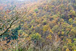 Bossen in herfstkleuren gezien vanaf de Katzley bij Dernau in het Ahrtal