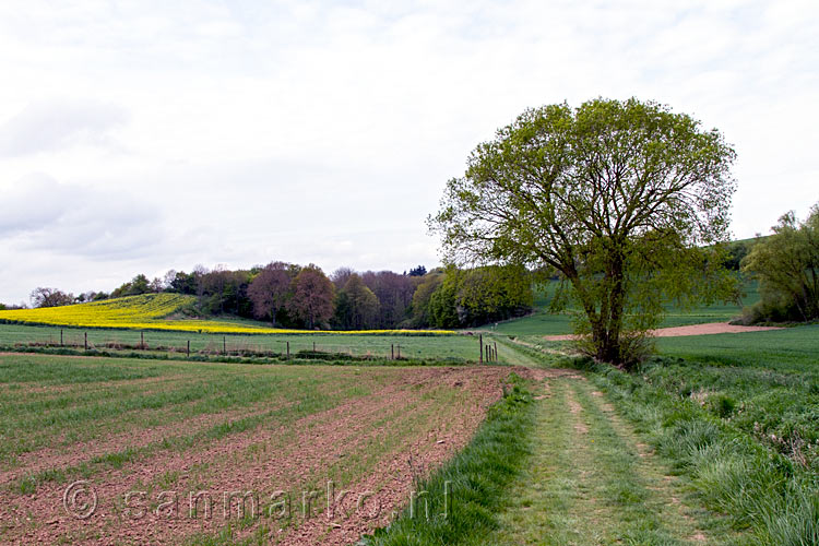 Uitzicht over de velden aan het begin van de wandeling over de Traumpfad Eltzer Burg