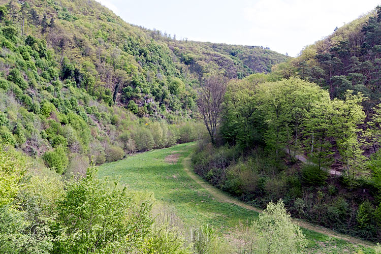 Uitzicht vanaf het wandelpad op de Eltztal bij de Eltzer Burg