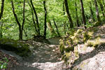 Het wandelpad door de schitterende natuur langs de Eltzbach over de Traumpfad