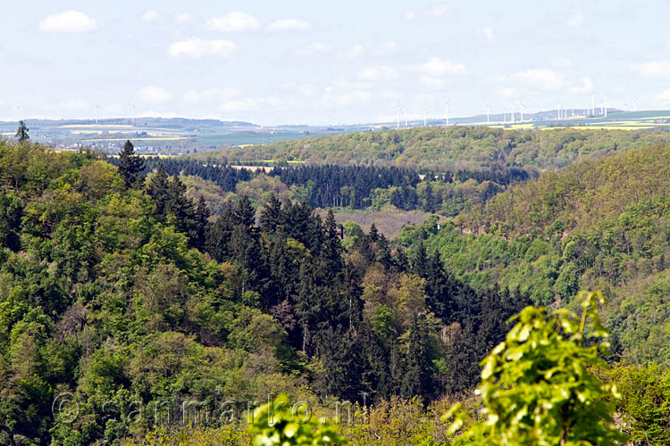 Na een steile klim het uitzicht over de Moezel regio in Duitsland bij Wierschem