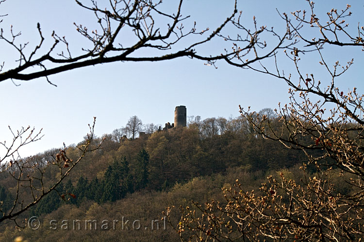 Uitzicht op de Winneburg vlakbij Cochem