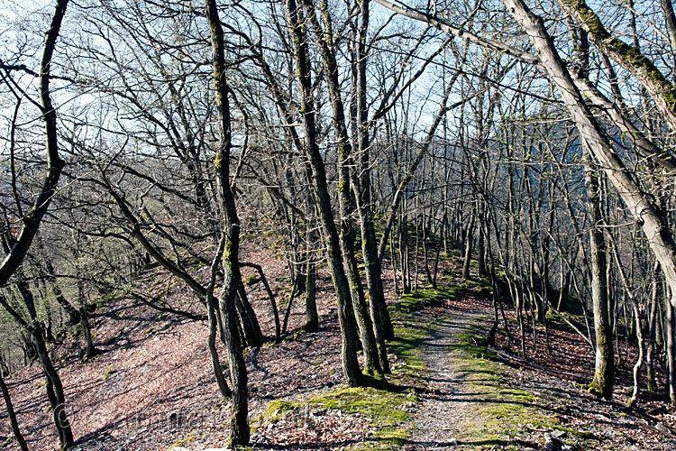 Een iets vlakker stuk in de wandeling na een flinke klim