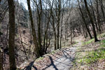 Het wandelpad in het Enderttal langs de Endert