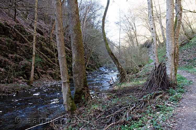 Het wandelpad door het Enderttal bij Cochem