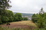 Uitzicht vanaf het wandelpad over Zweifall in de Eifel in Duitsland