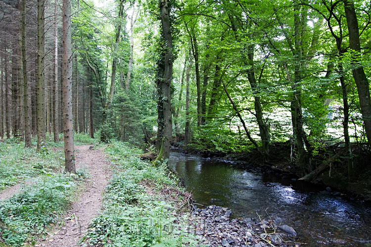 Wandelen langs de Vichtbach naar Rott in de Eifel in Duitsland