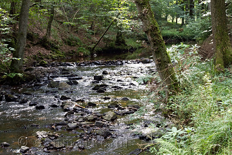 Een laatste uitzicht op de Vichtbach bij Rott in de Eifel in Duitsland