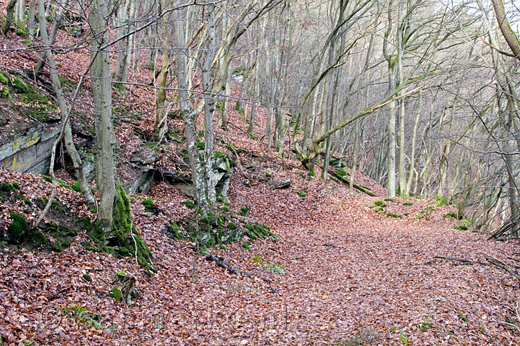 Het begin van de wandeling bij Heckenbach in het Ahrtal in de Eifel