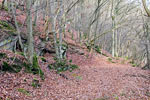 Het begin van de wandeling bij Heckenbach in het Ahrtal in de Eifel