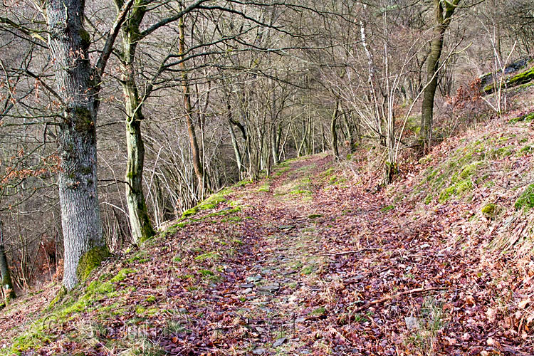 Het wandelpad in de bossen boven Heckenbach met af en toe uitzichten