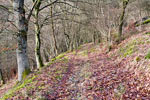 Het wandelpad in de bossen boven Heckenbach met af en toe uitzichten