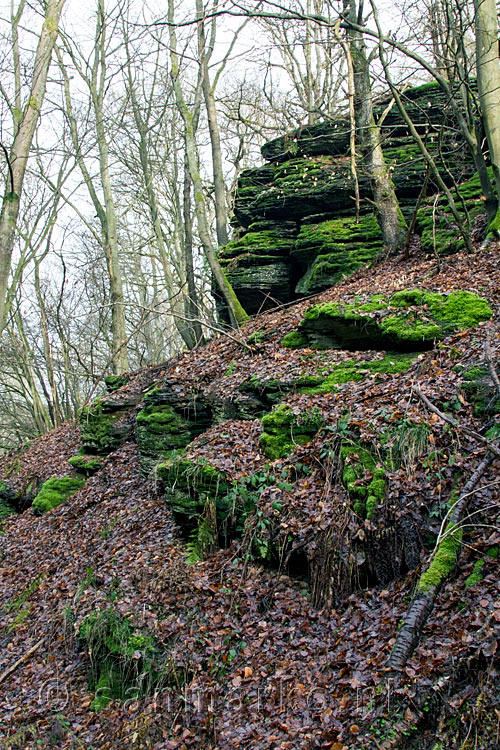 Mooie rotsen van leisteen langs het wandelpad bij Heckenbach in het Ahrtal