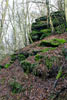 Mooie rotsen van leisteen langs het wandelpad bij Heckenbach in het Ahrtal