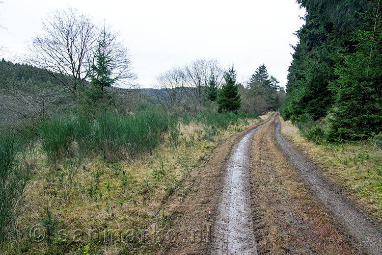 Het wandelpad naar het uitzichtpunt over het Ahrtal bij Heckenbach in de Eifel