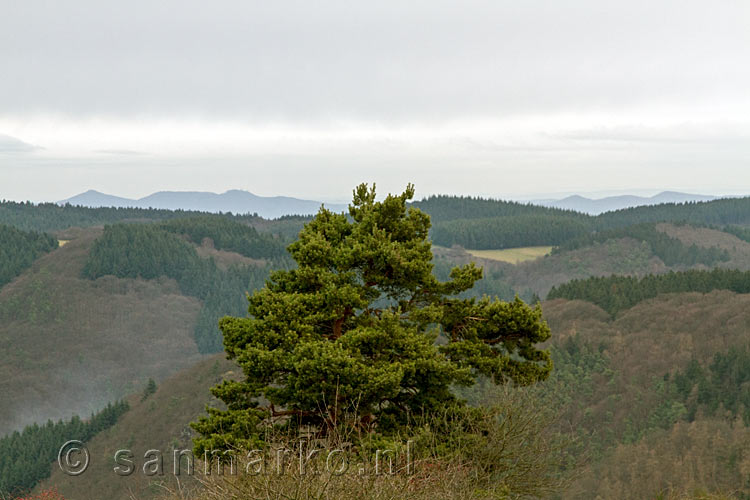 Na een steil wandelpad de beloning van een schitterend uitzicht over de Eifel