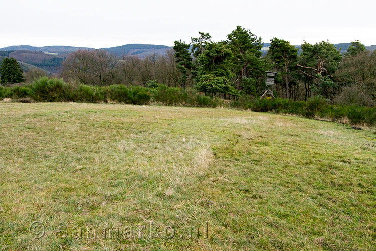 Wandelen over een weide met natuurlijk een jachthut bij Heckenbach in de Eifel