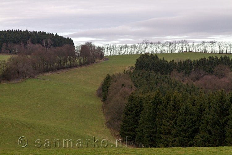 De schitterende afwisseling van weilanden en bossen in de Eifel bij Heckenbach