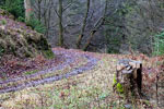 Het wandelpad tussen Fronrath en Cassel in het Ahrtal in de Eifel in Duitsland