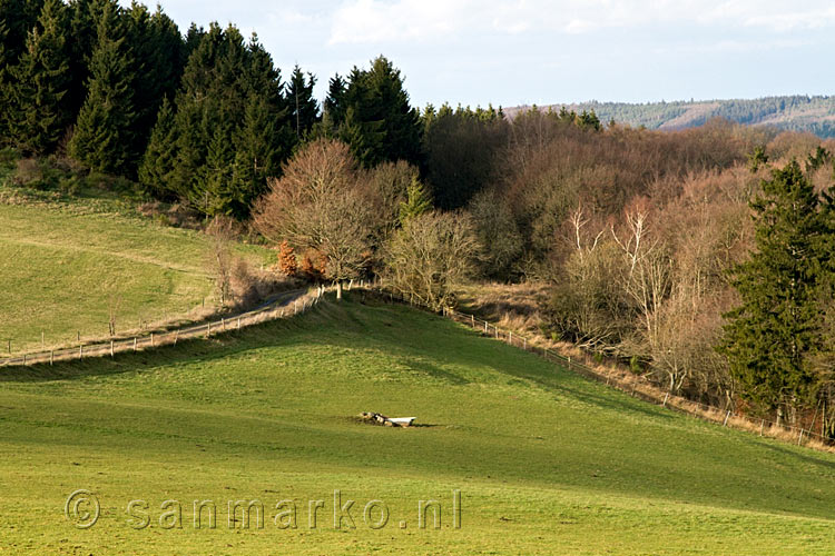 Uitzicht over de weilanden en de bossen bij Cassel en Heckenbach in het Ahrtal
