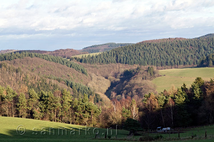 Vanaf het wandelpad uitzicht op een kleine vallei bij Heckenbach in de Eifel