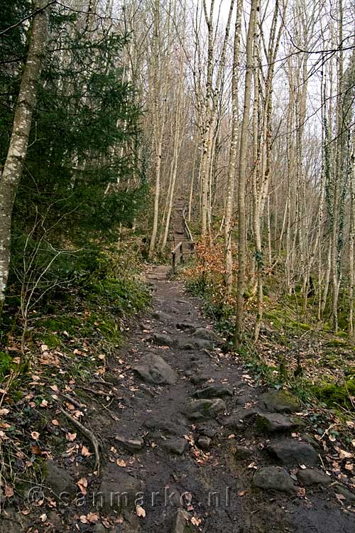 We wandelen bij Irrel door een mooi bos steil omhoog naar de Teufelsschlucht