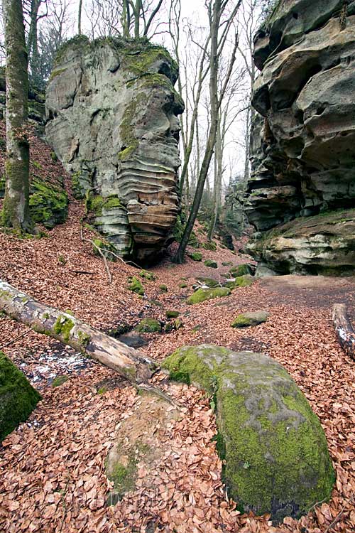 De mooie natuur van de Teufelsschlucht vlakbij Luxemburg in Duitsland