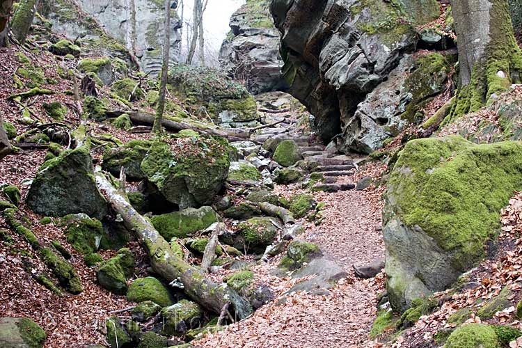 Het mooie wandelpad door de Teufelsschlucht bij Irrel in de Eifel